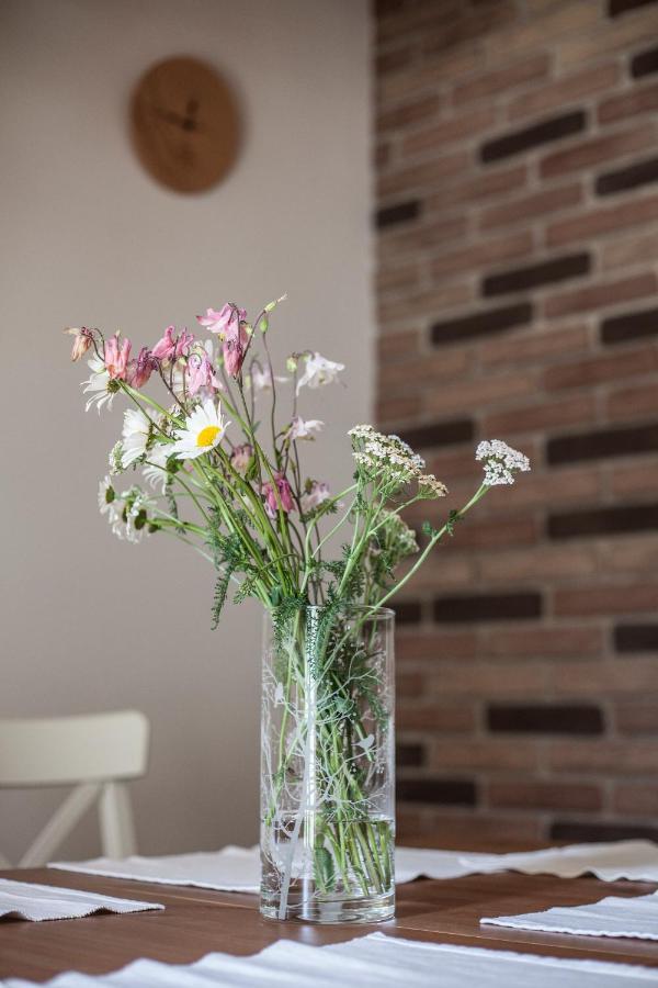 Apartment Jitkovsky Mlyn *